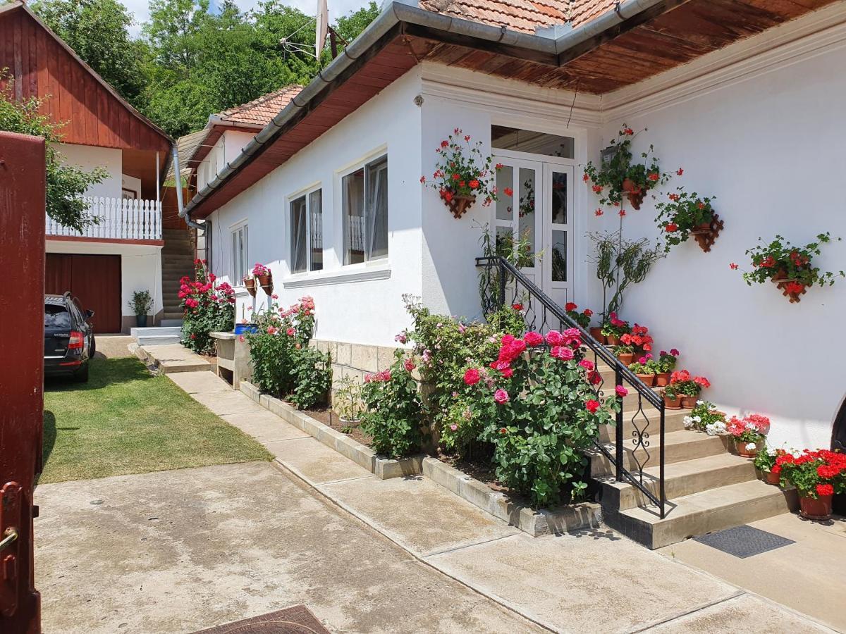 Bed and Breakfast Rozsa Panzio Риметя Экстерьер фото